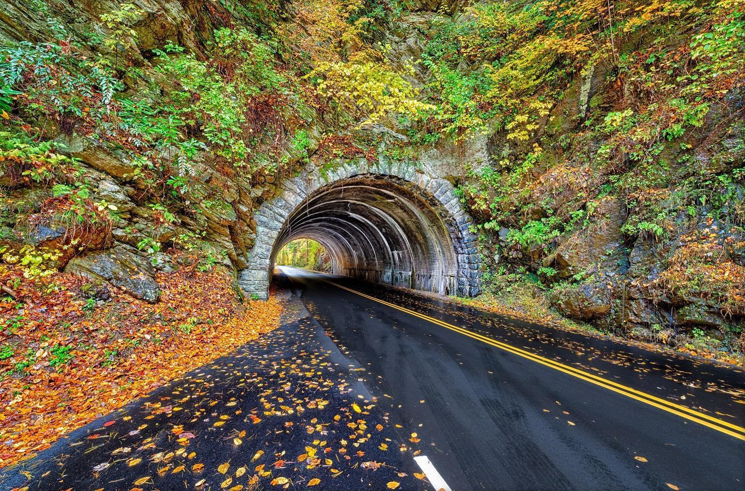 Her Majesty'S Way, Awesome Mtn Views, 1089 Free Tickets Each Paid Day, Dollywood And More 개틀린버그 외부 사진