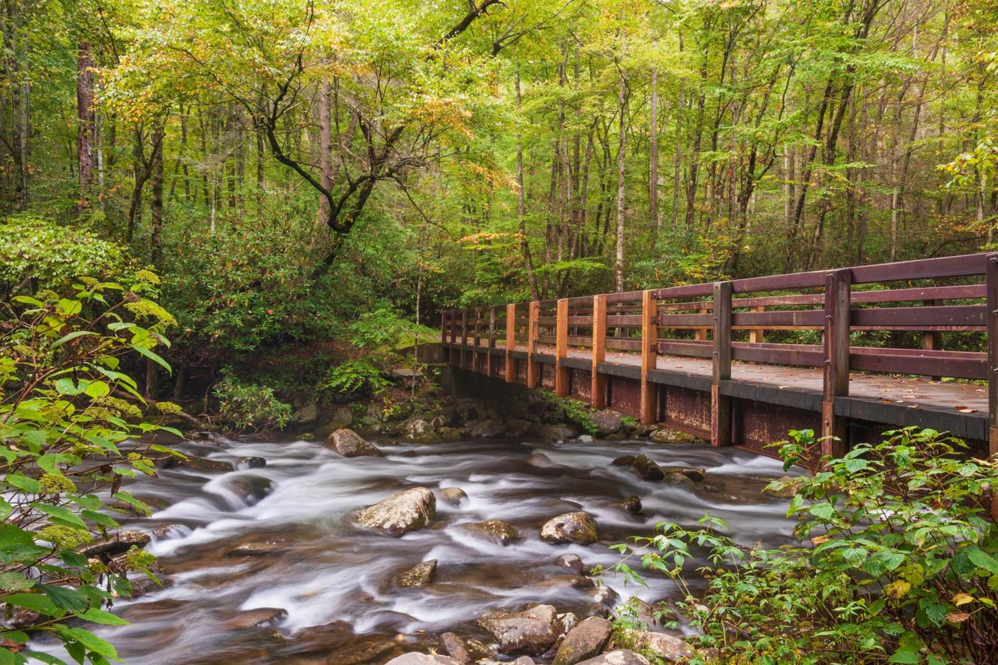 Her Majesty'S Way, Awesome Mtn Views, 1089 Free Tickets Each Paid Day, Dollywood And More 개틀린버그 외부 사진